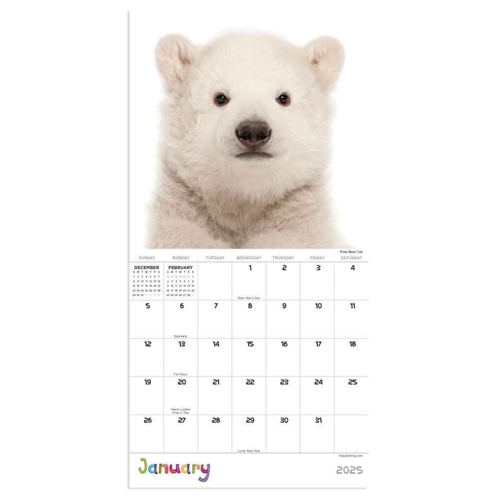 Baby Animals 2025 Mini Wall Calendar January