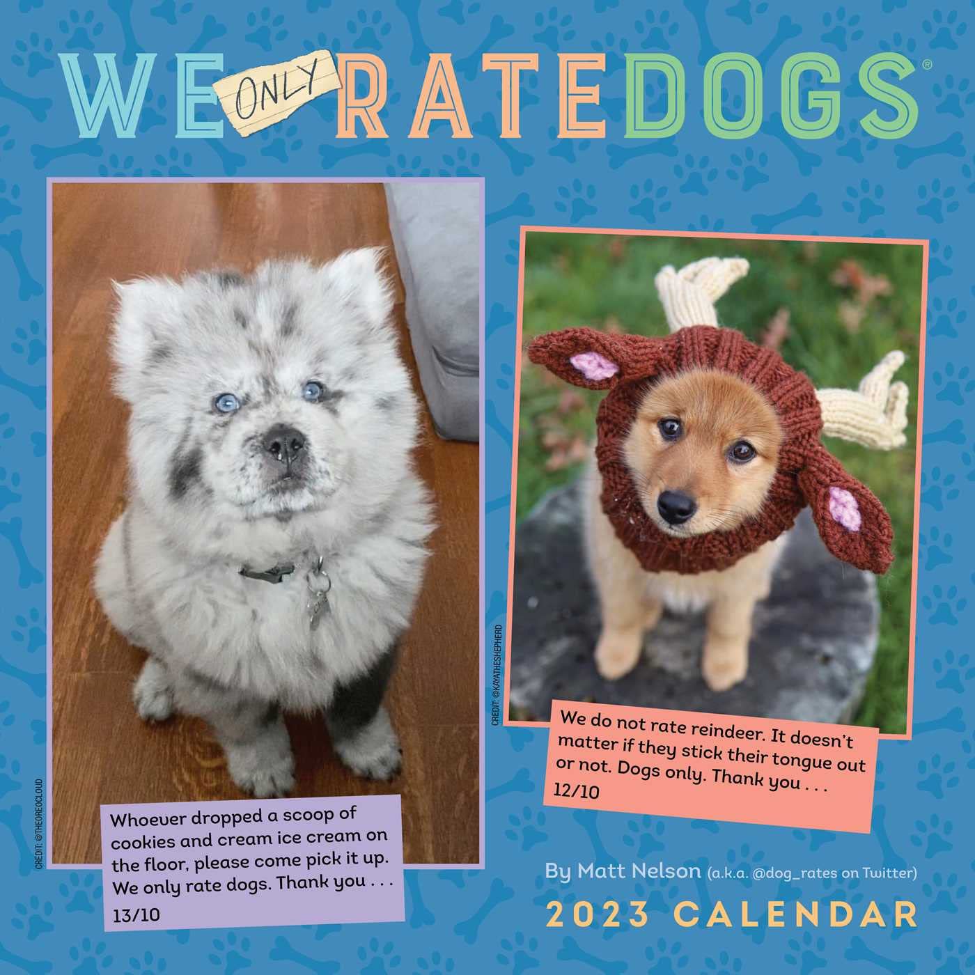 Andrews McMeel Publishing We Rate Dogs 2023 Wall Calendar