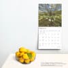 image Arkansas Wild and Scenic 2025 Wall Calendar