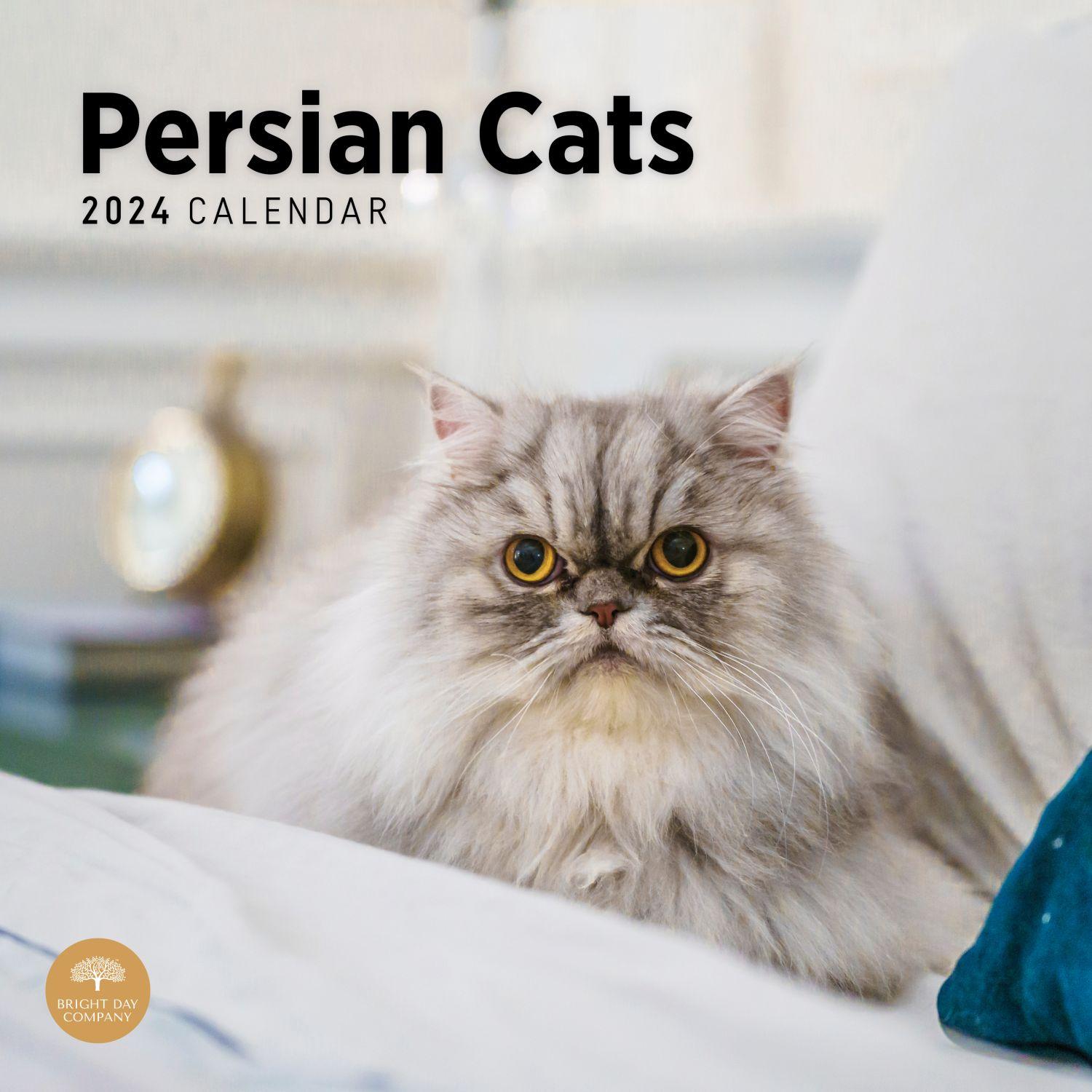 Persian Cats 2024 Wall Calendar