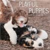 image Playful Puppies 2025 Wall Calendar