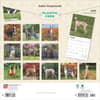 image Italian Greyhounds 2025 Wall Calendar