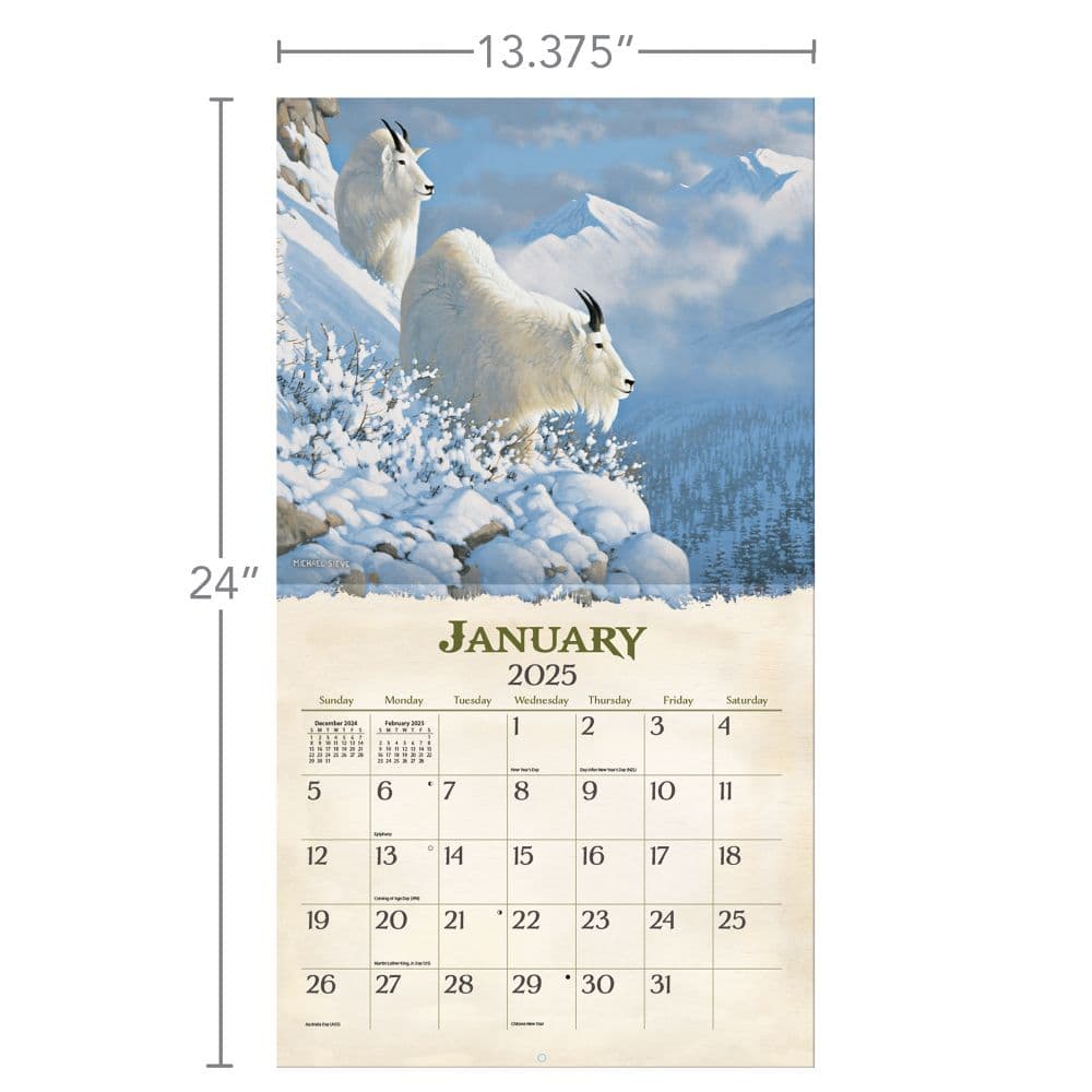 Beyond the Woods 2025 Wall Calendar by Michael Sieve