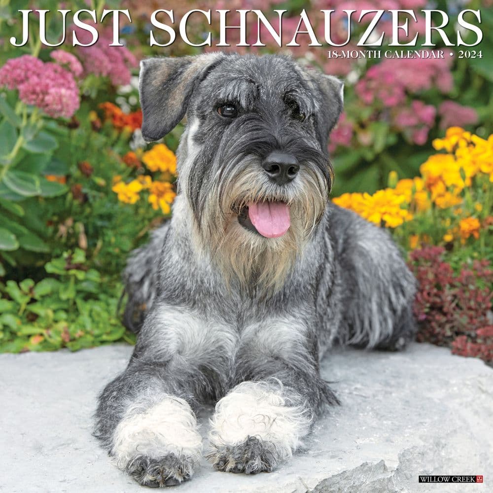 Just Schnauzers 2024 Wall Calendar