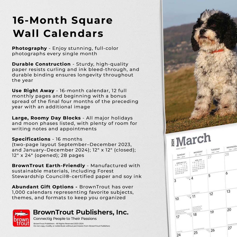 Cavapoos 2024 Wall Calendar Fourth Alternate Image width=&quot;1000&quot; height=&quot;1000&quot;