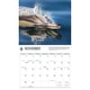 image Dolphins WWF 2026 Wall Calendar Fourth Alternate Image