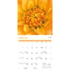 image Flowers 2026 Wall Calendar Fourth Alternate Image