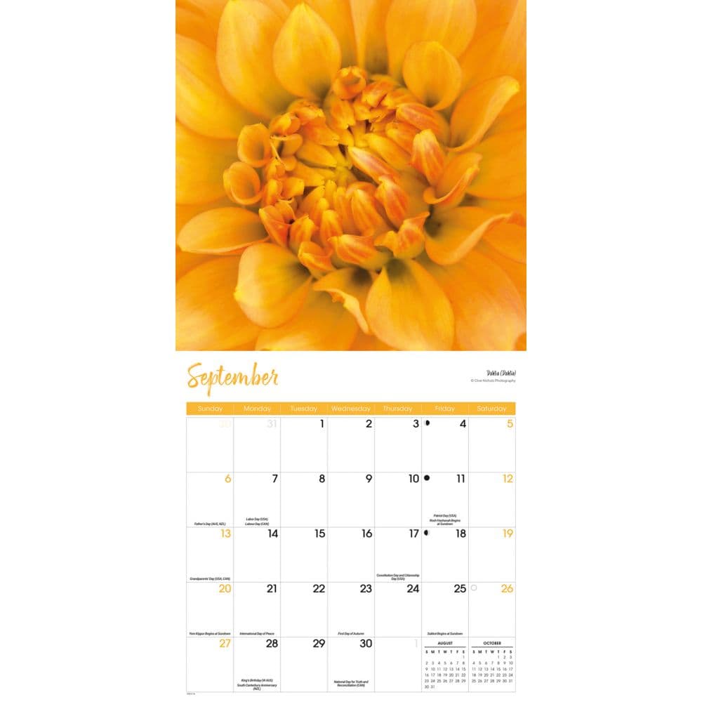 Flowers 2026 Wall Calendar Fourth Alternate Image