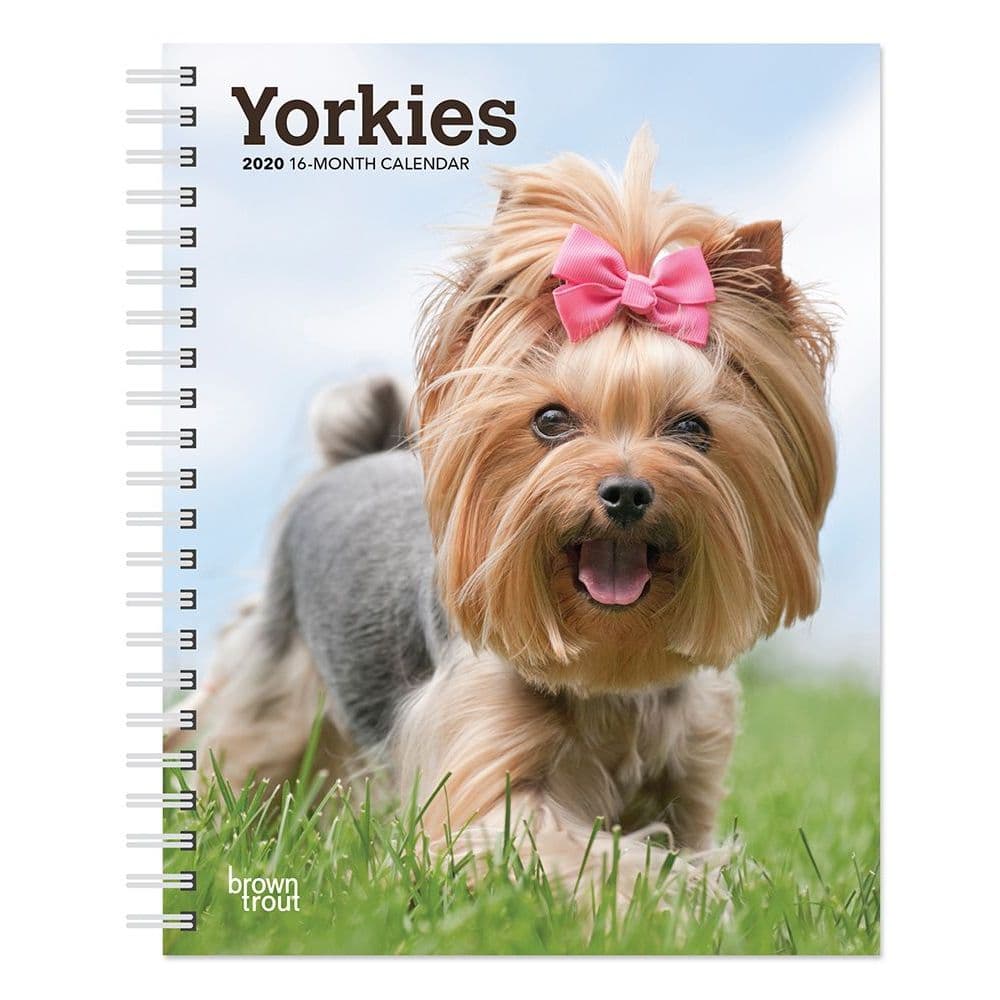 Yorkshire Terrier 2020 Calendar BOOKMARK Parti Yorkie Puppy DOG ART Book Card 