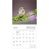 image Audubon Hummingbirds and Beyond 2026 Wall Calendar Third alternate Image