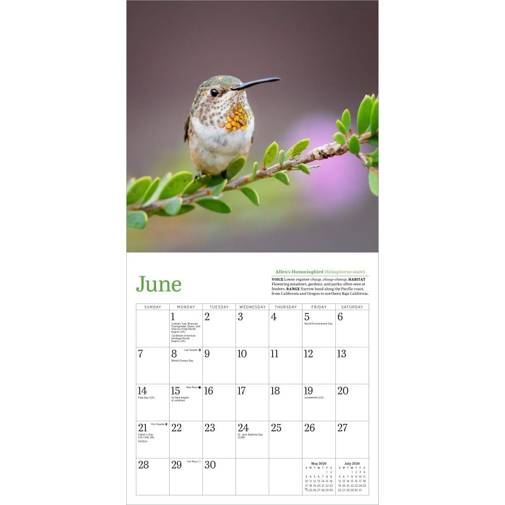 Audubon Hummingbirds and Beyond 2026 Wall Calendar Third alternate Image