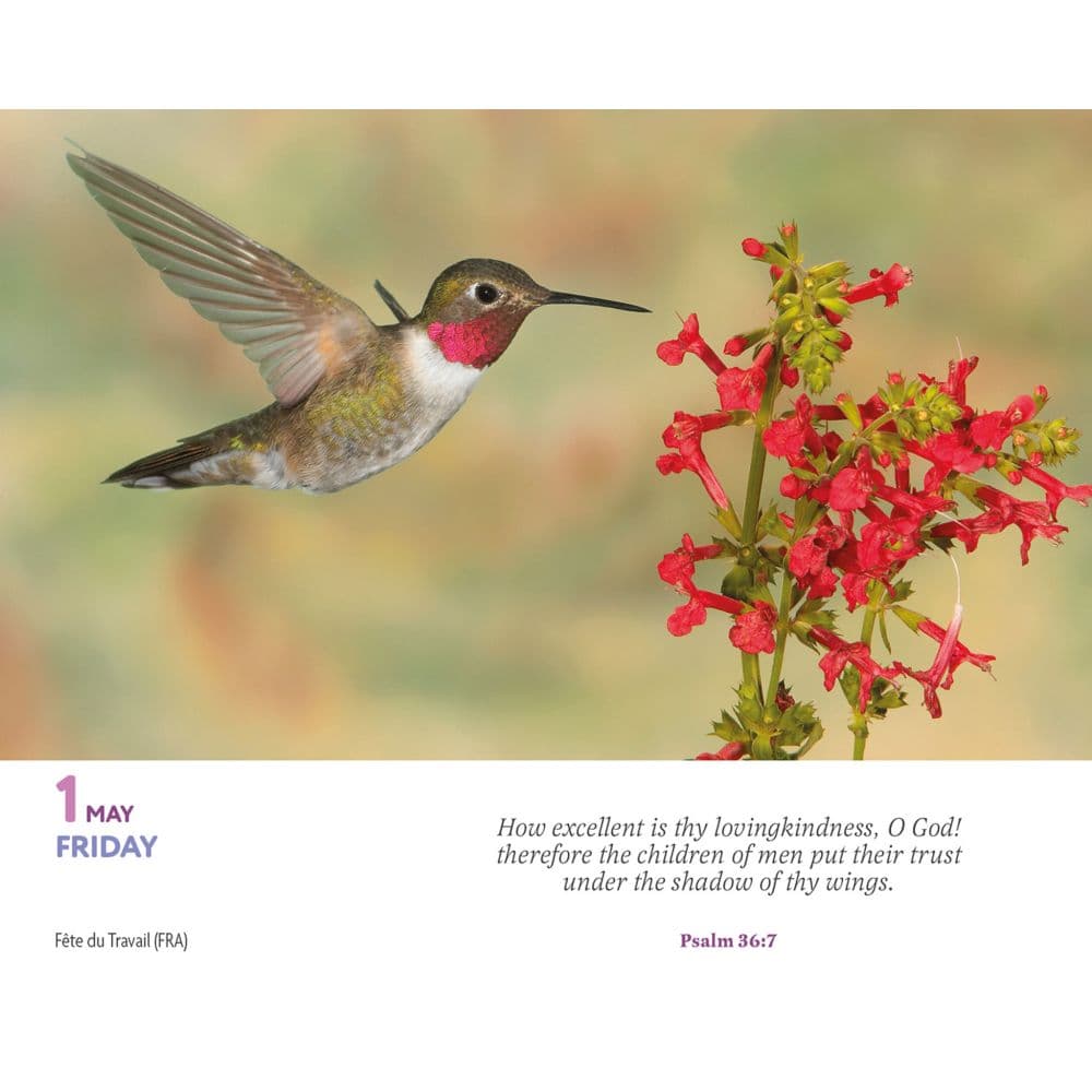 Bible Verses 2026 Desk Calendar Third Alternate