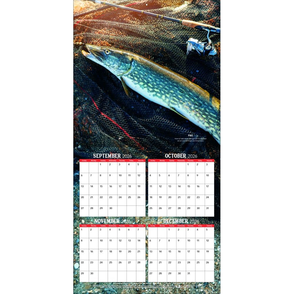 Fish On 2027 Wall Calendar Second Alternate Image
