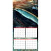 image Fish On 2027 Wall Calendar Second Alternate Image
