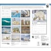 image Polar Bears WWF 2025 Wall Calendar First Alternate Image width=&quot;1000&quot; height=&quot;1000&quot;