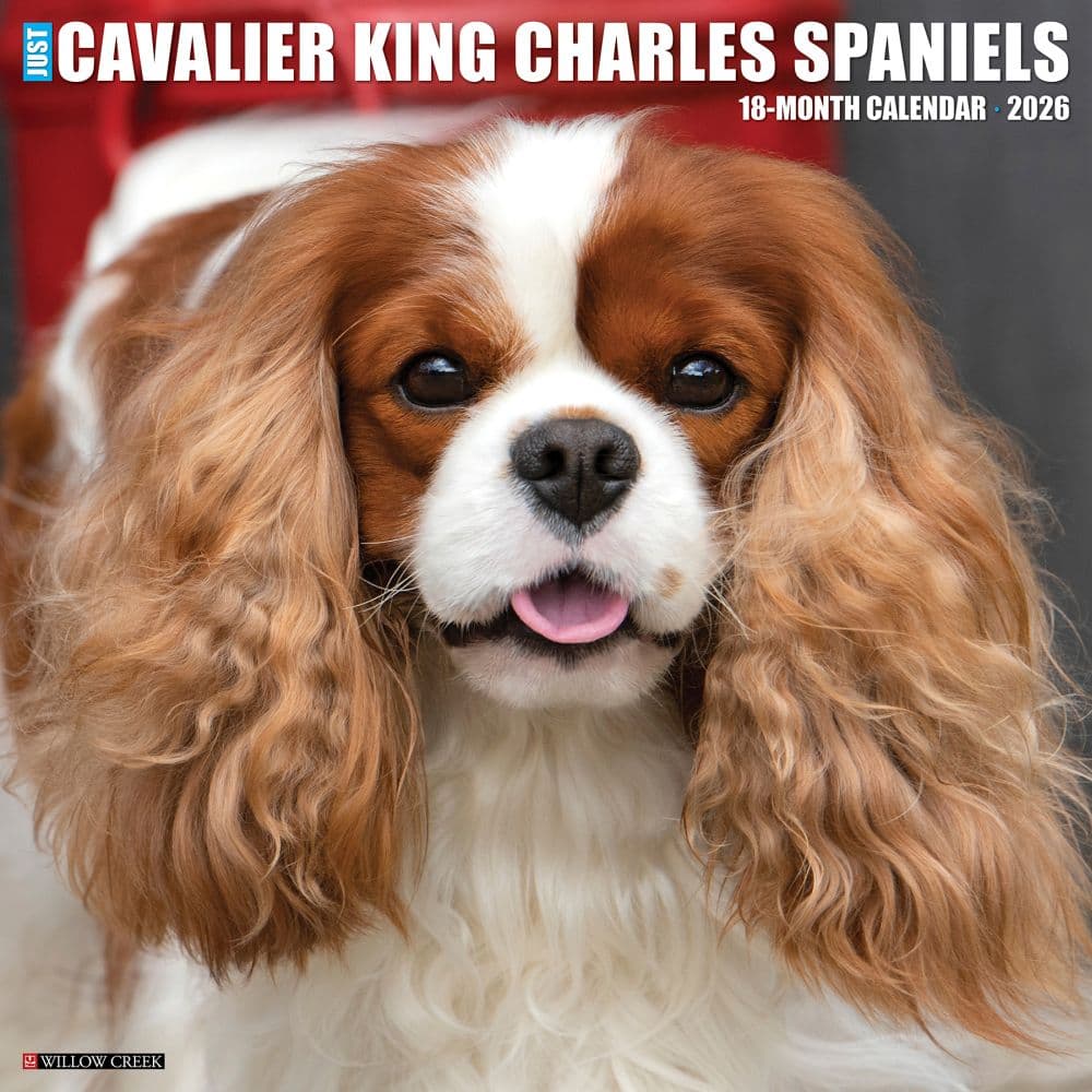 Just Cavalier King Charles 2026 Wall Calendar Main Image