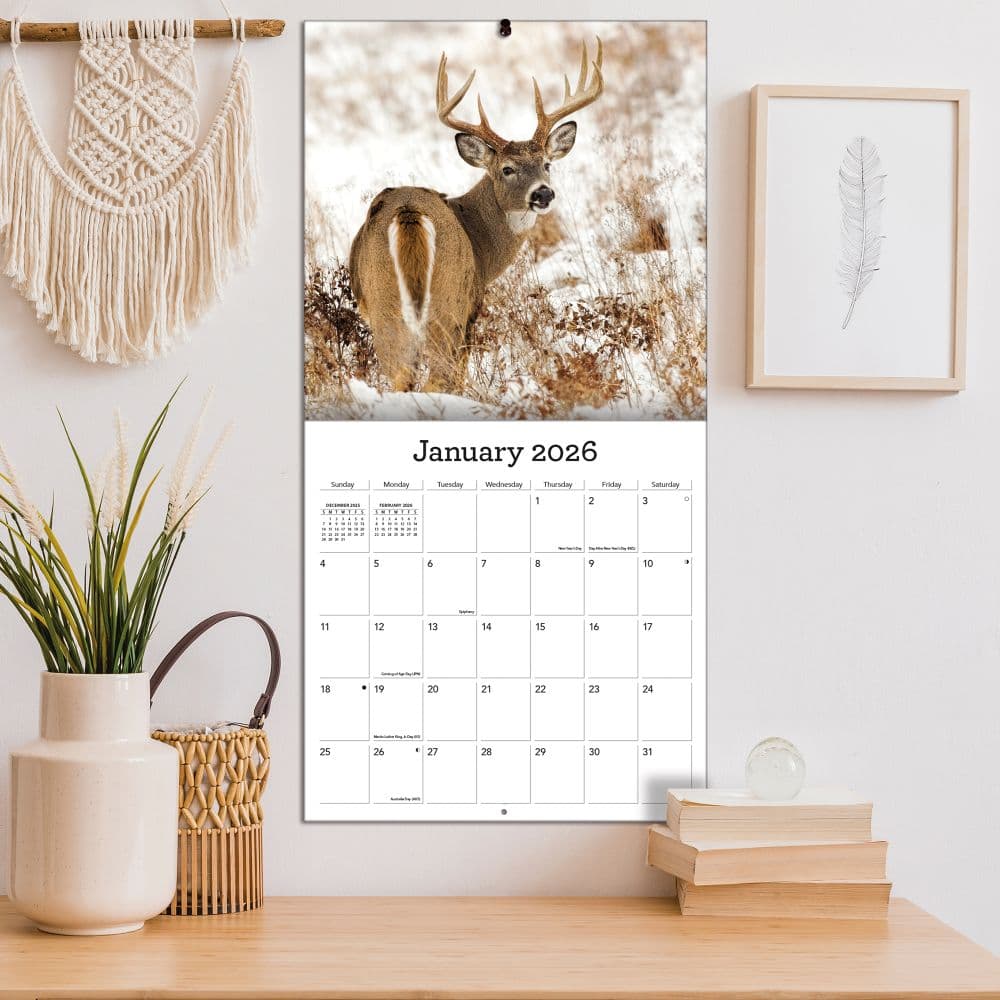 White Tailed Deer 2026 Wall Calendar_ALT4