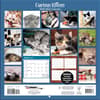 image Kittens Curious Photo 2024 Mini Wall Calendar First Alternate Image width=&quot;1000&quot; height=&quot;1000&quot;