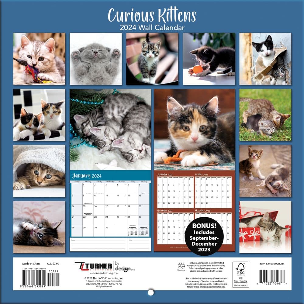 Kittens Curious Photo 2024 Mini Wall Calendar First Alternate Image width=&quot;1000&quot; height=&quot;1000&quot;