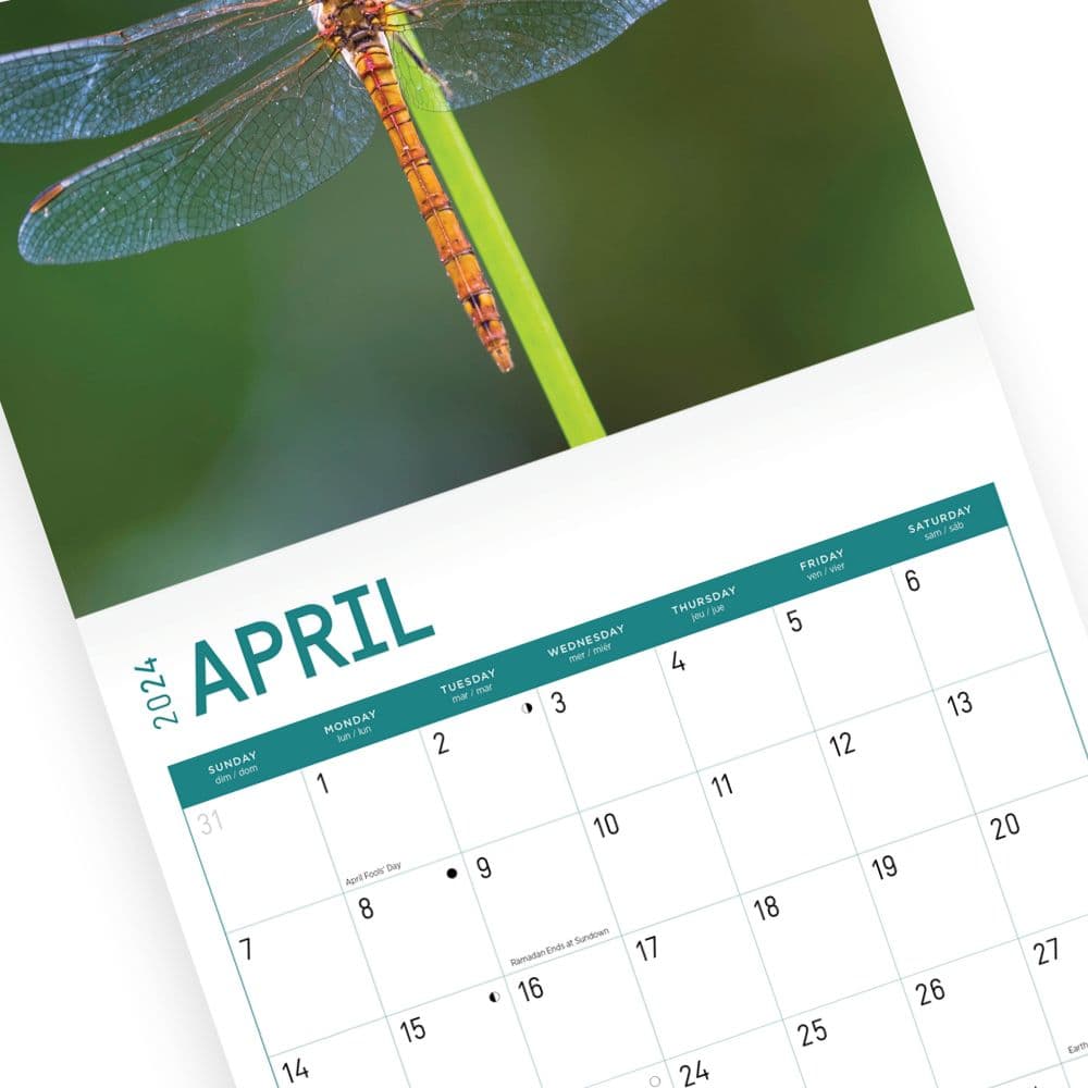 Dragonflies 2024 Wall Calendar