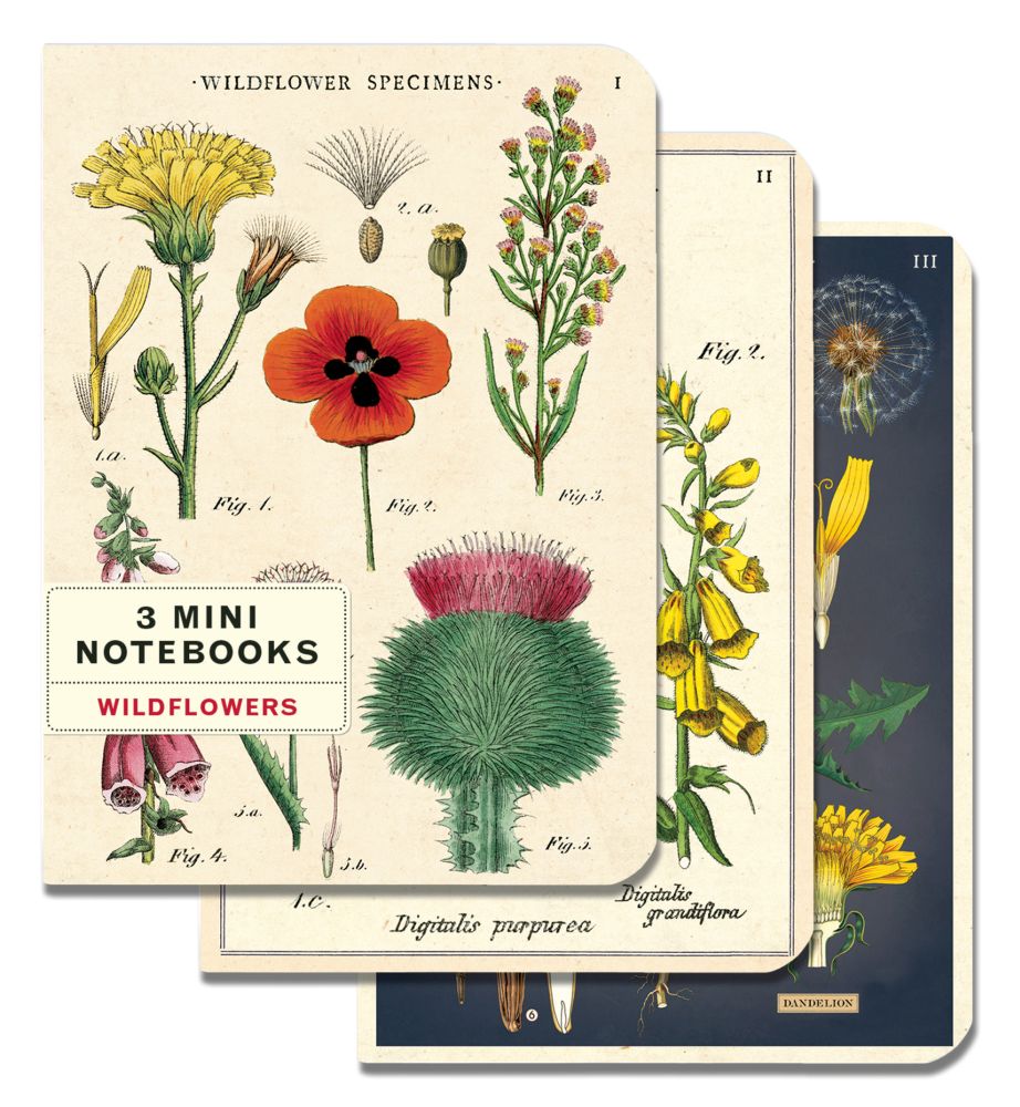 Cavallini Papers & Co. Wildflowers Mini Notebook (3 pack)