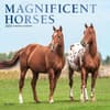 image Magnificent Horses 2024 Wall Calendar Main Image