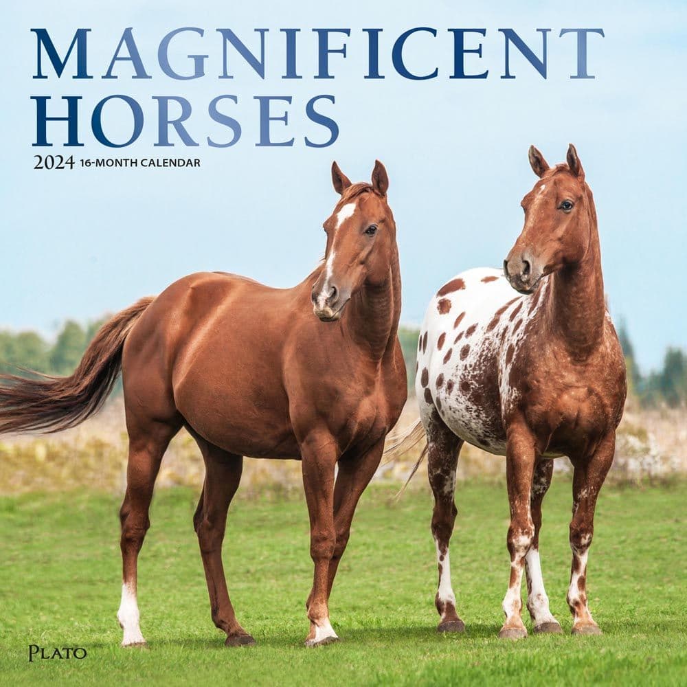 Magnificent Horses 2024 Wall Calendar Main Image