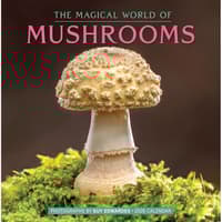 image Fantastic Fungi 2026 Wall Calendar Main Image