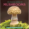 image Fantastic Fungi 2026 Wall Calendar Main Image