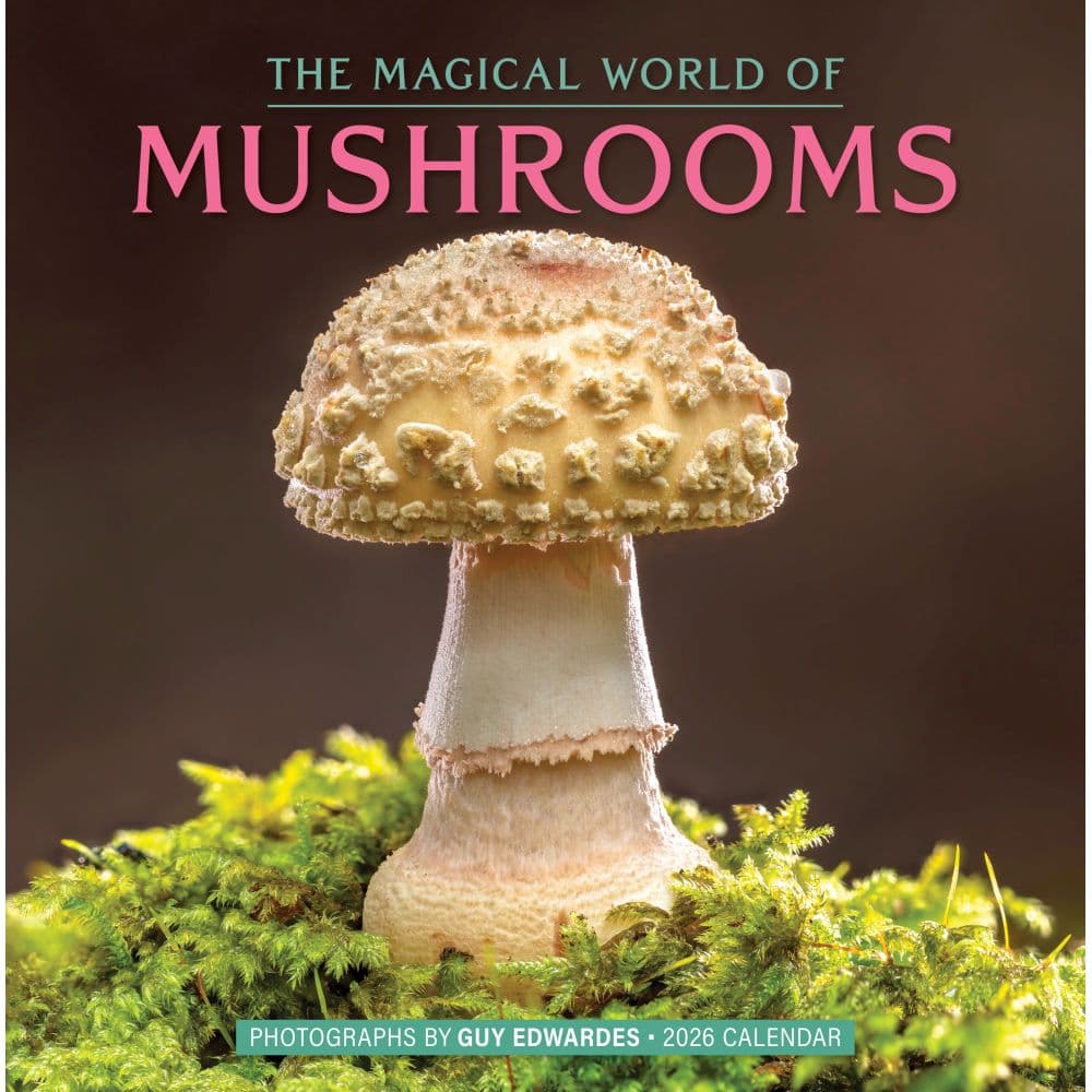Fantastic Fungi 2026 Wall Calendar Main Image