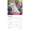 image Kittens Love of 2025 Mini Wall Calendar Second Alternate Image width=&quot;1000&quot; height=&quot;1000&quot;