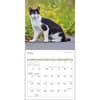 image Cats 2024 Wall Calendar Alternate Image 2