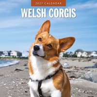 image Welsh Corgis 2027 Wall Calendar Main Product Image