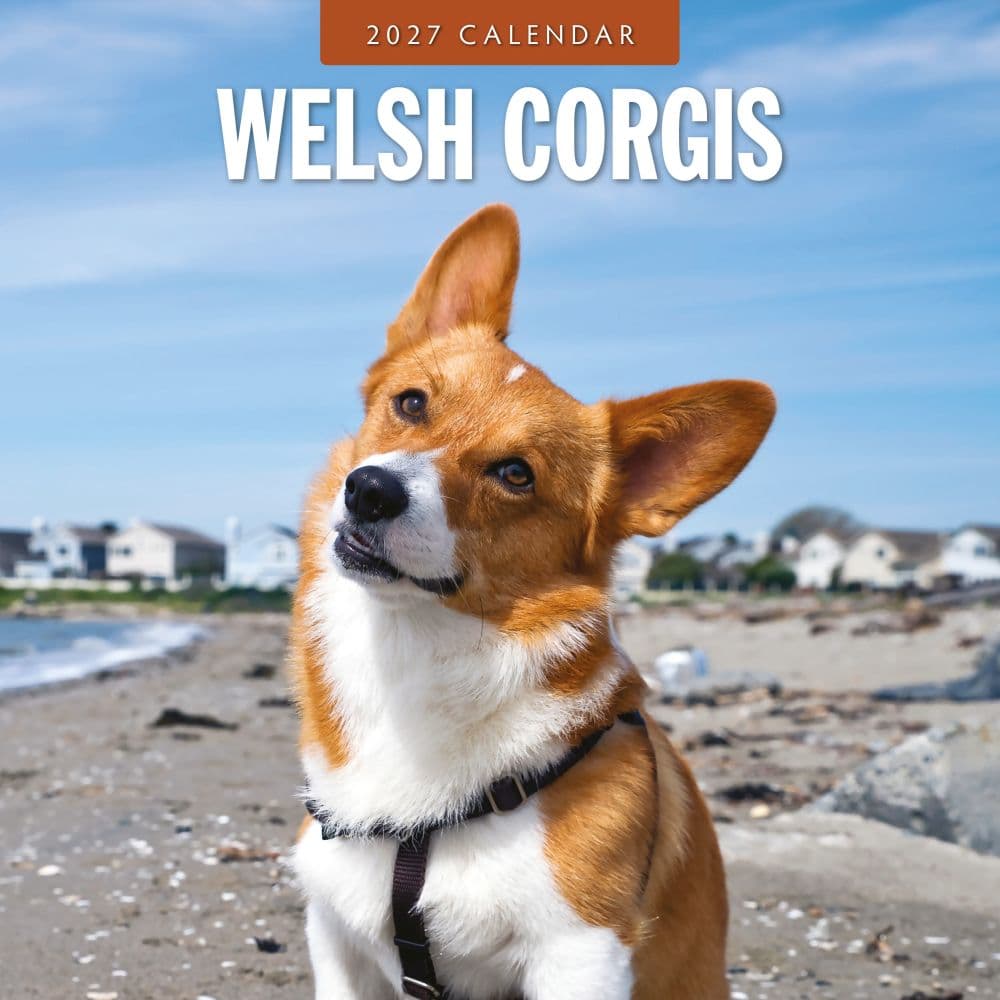 image Welsh Corgis 2027 Wall Calendar Main Product Image