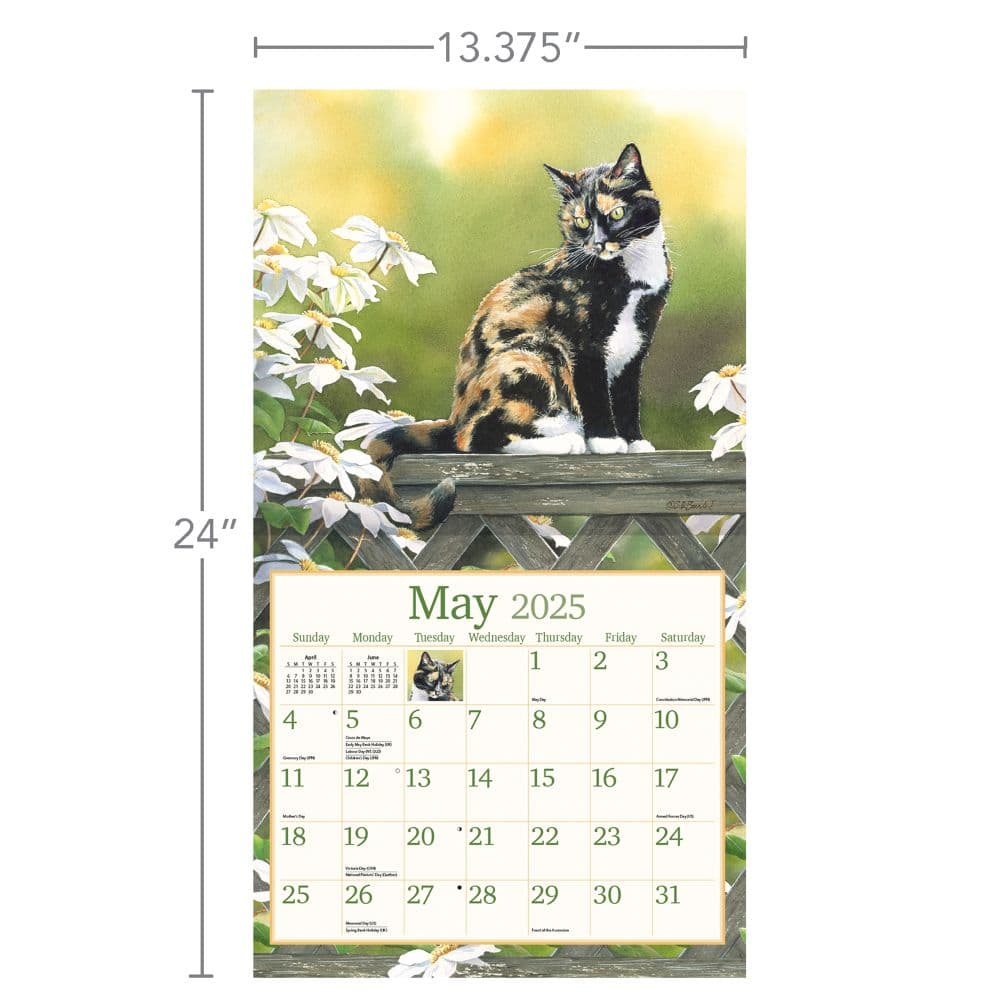 Cats in the Country 2025 Wall Calendar by Susan Bourdet_ALT6