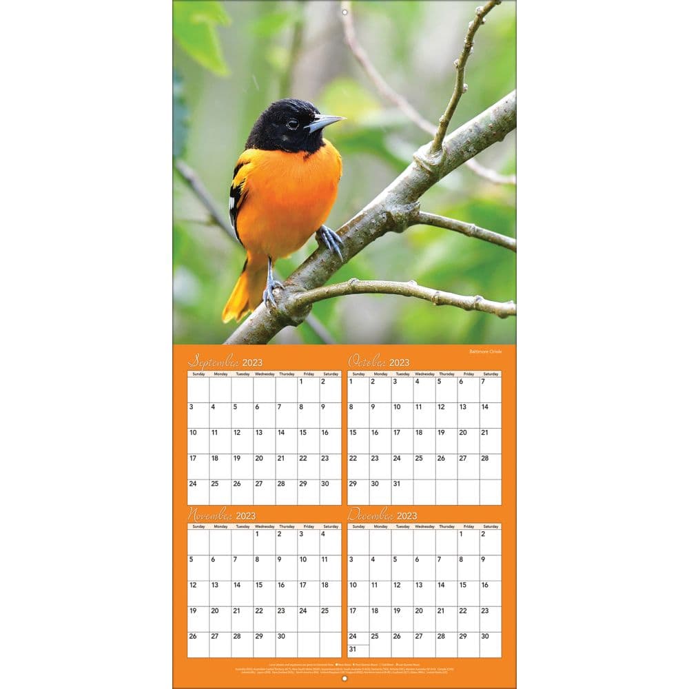 Songbirds 2024 Mini Wall Calendar