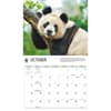 image Giant Pandas WWF 2026 Wall Calendar Fourth Alternate Image