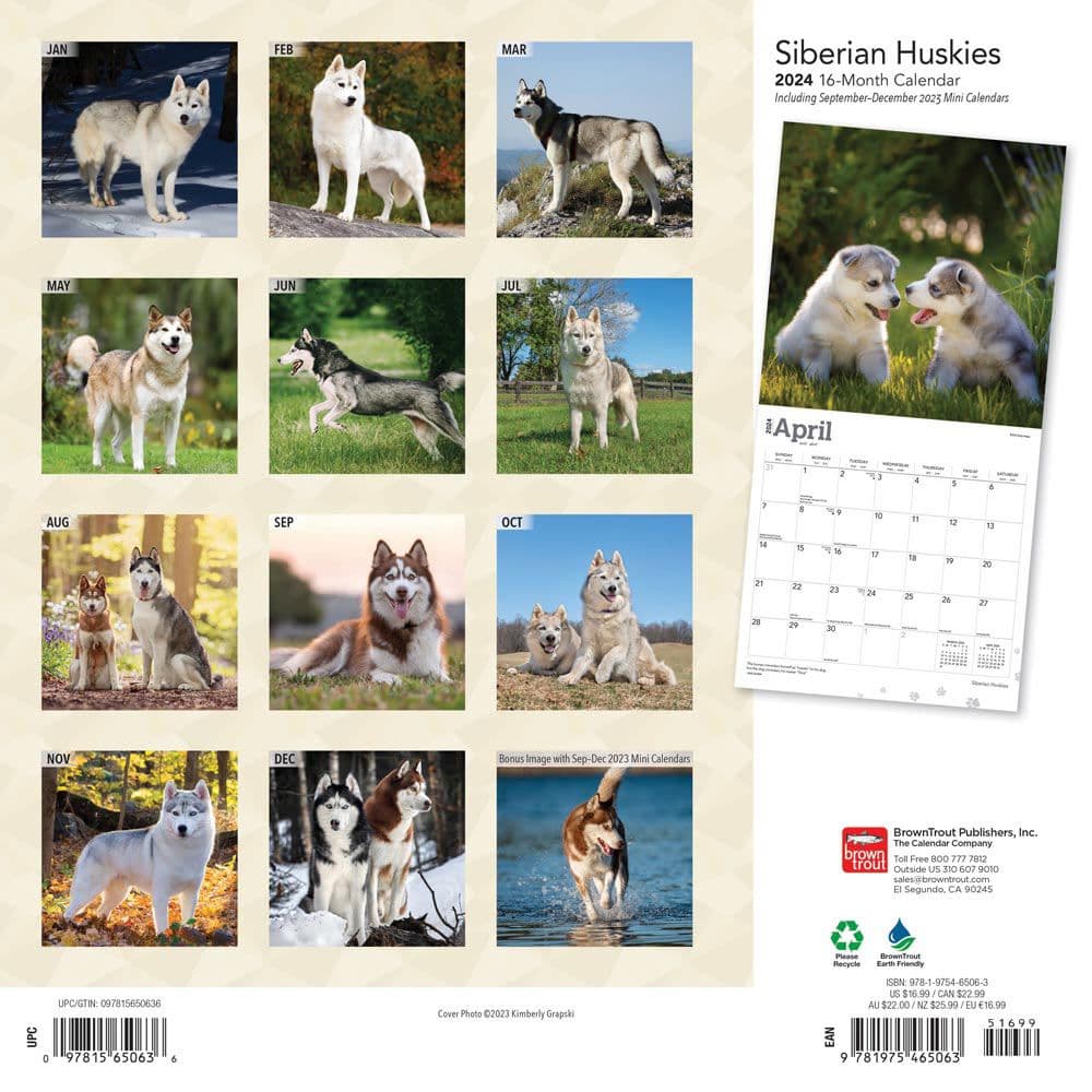 Siberian Huskies 2024 Wall Calendar