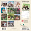image Basset Hound 2025 Mini Wall Calendar First Alternate Image width=&quot;1000&quot; height=&quot;1000&quot;