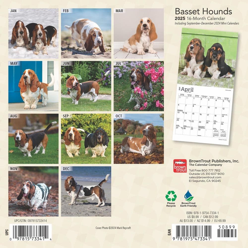 Basset Hound 2025 Mini Wall Calendar First Alternate Image width=&quot;1000&quot; height=&quot;1000&quot;