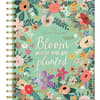 image Shine Within 17 Month 2026 Planner