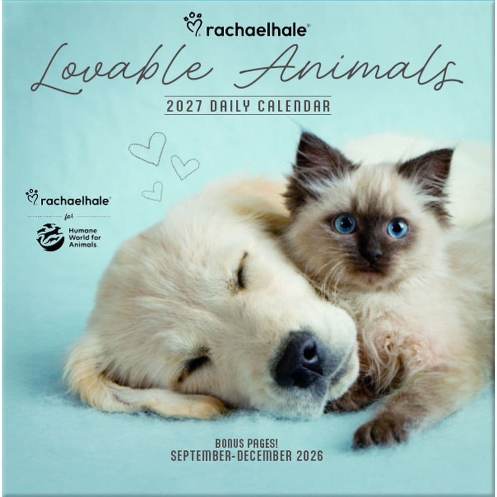 image Rachael Hale Loveable Animals 2027 Desk Calendar Main Product Image