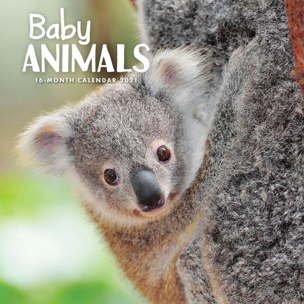 Baby Animals Wall Calendar