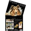 image Love of Dogs by John Silver 2025 Wall Calendar Third Alternate Image width=&quot;1000&quot; height=&quot;1000&quot;