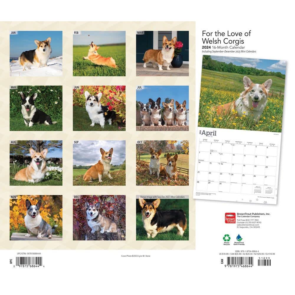 Welsh Deluxe 2024 Wall Calendar