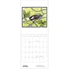 image Wildlife 2027 Mini Wall Calendar by Molly Hashimoto Third Alternate Image