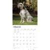 image English Setters 2024 Wall Calendar Second Alternate Image width=&quot;1000&quot; height=&quot;1000&quot;