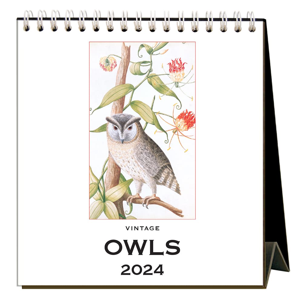 Owls 2024 Easel Desk Calendar