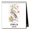 image Owls 2024 Easel Desk Calendar Main Product Image width=&quot;1000&quot; height=&quot;1000&quot;