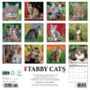image Tabby Cats 2026 Wall Calendar First Alternate Image